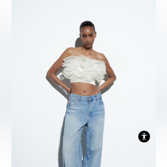 Zara Organza Tube Top - Picture 1 of 6